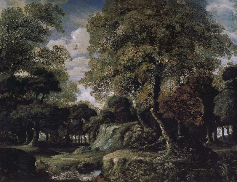 Jan van der Heyden Forest landscape oil painting picture
